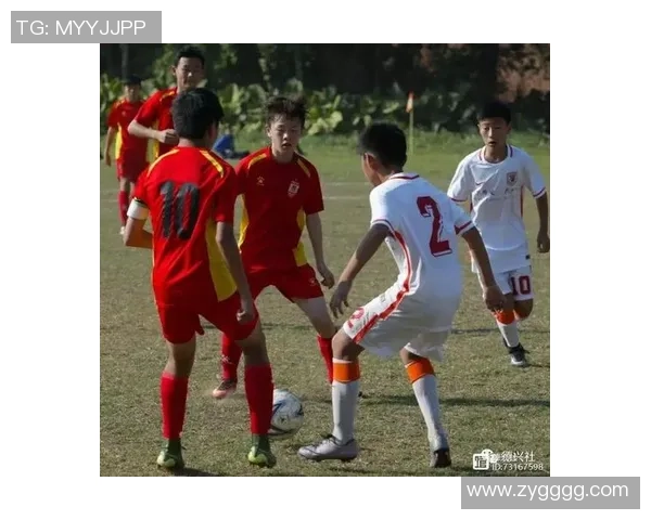 广州排球队在锦标赛中的团队协作展现出色值得赞赏与反思